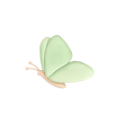 motyl 02